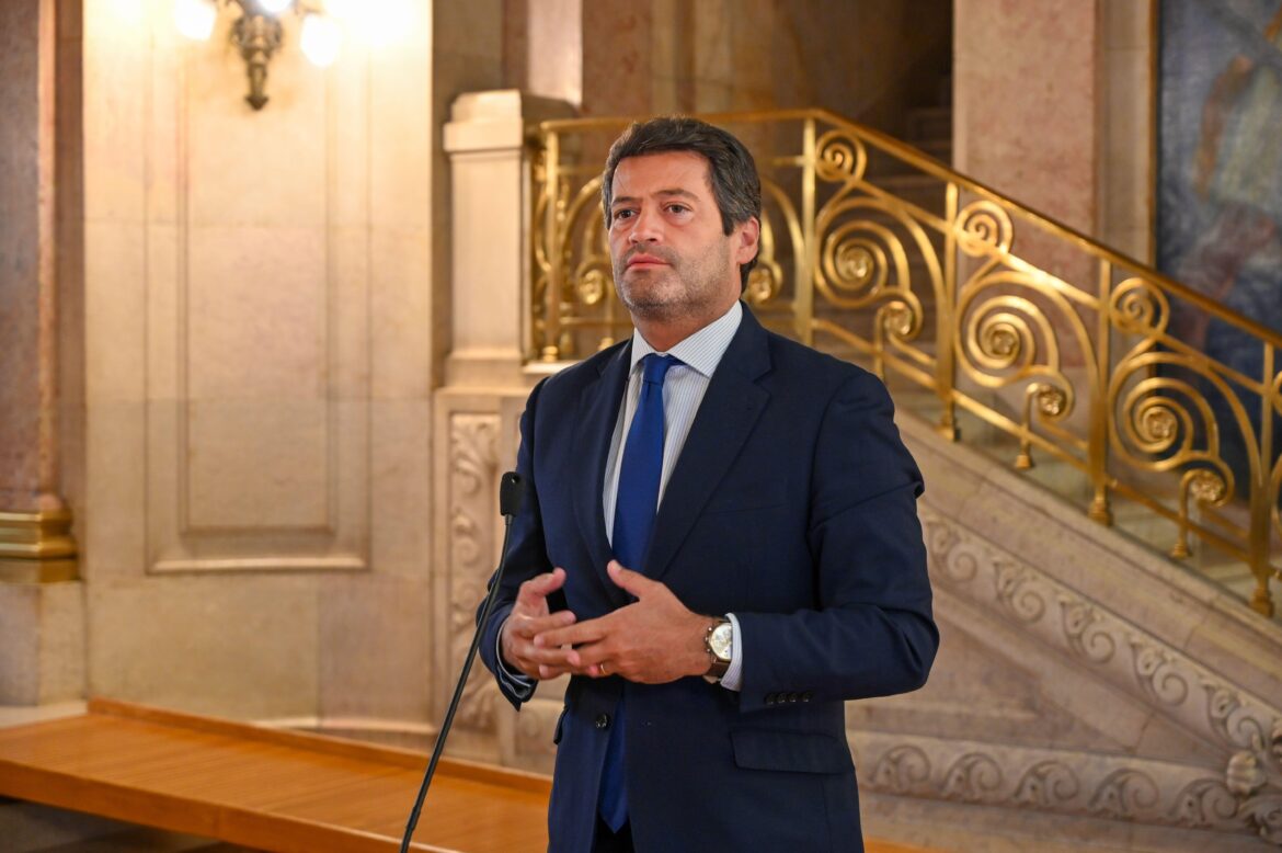 Verwarrende woorden en vliegende eenhoorns